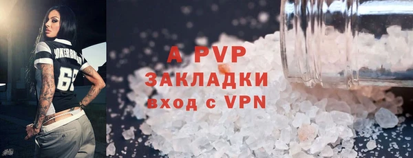 2c-b Бородино
