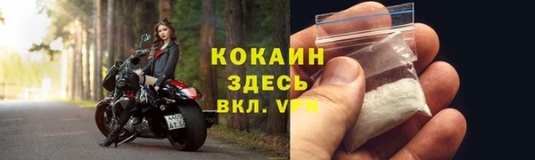 твердый Богородицк