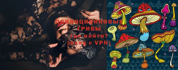 мдпв Бронницы